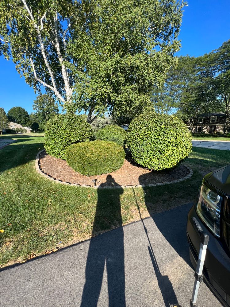 Landscaping for Trim Seasonal Services in Milwaukee, WI