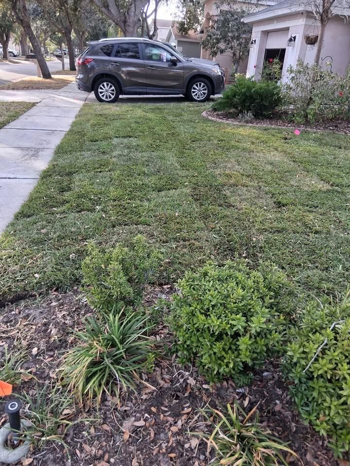 All Photos for Gulf Bay Sod in Clearwater, FL