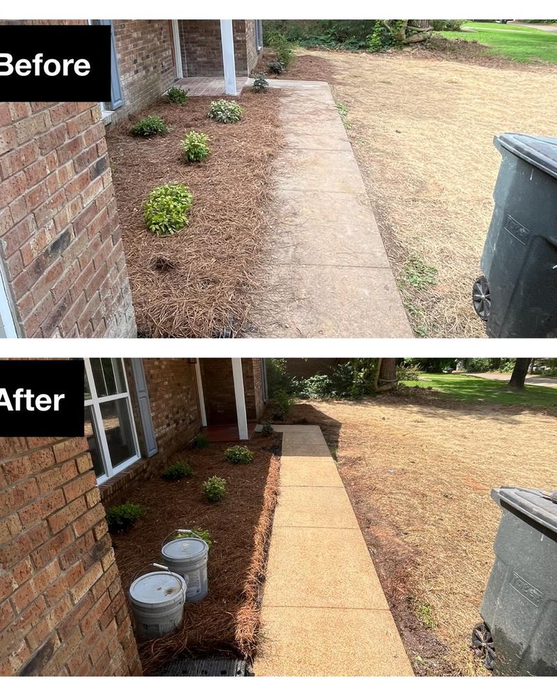 All Photos for Honey Do Oxford Pressure Washing and Soft Washing in Oxford, Mississippi