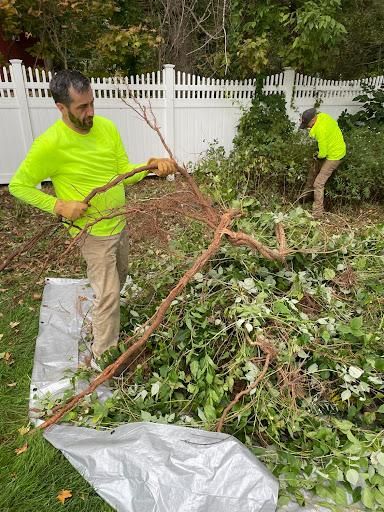 All Photos for Blades of Glory LLC in Cheshire, CT