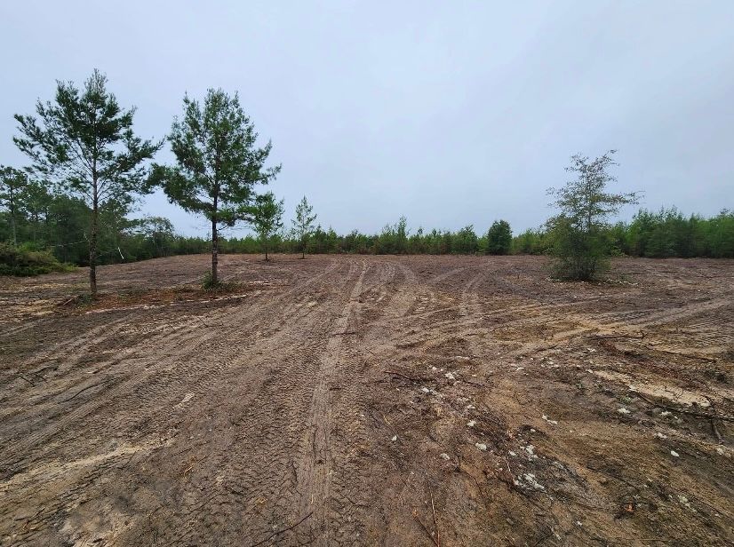 All Photos for Rogers Land Services in Hawkinsville, GA