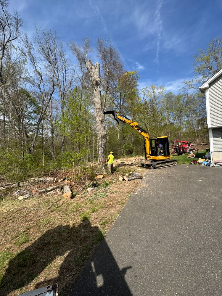 All Photos for Hennessey Tree & Landscape LLC in Oxford,  CT 