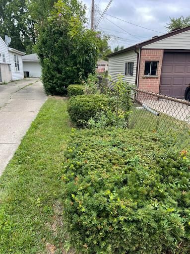 All Photos for PineView Property Services in Canton, MI