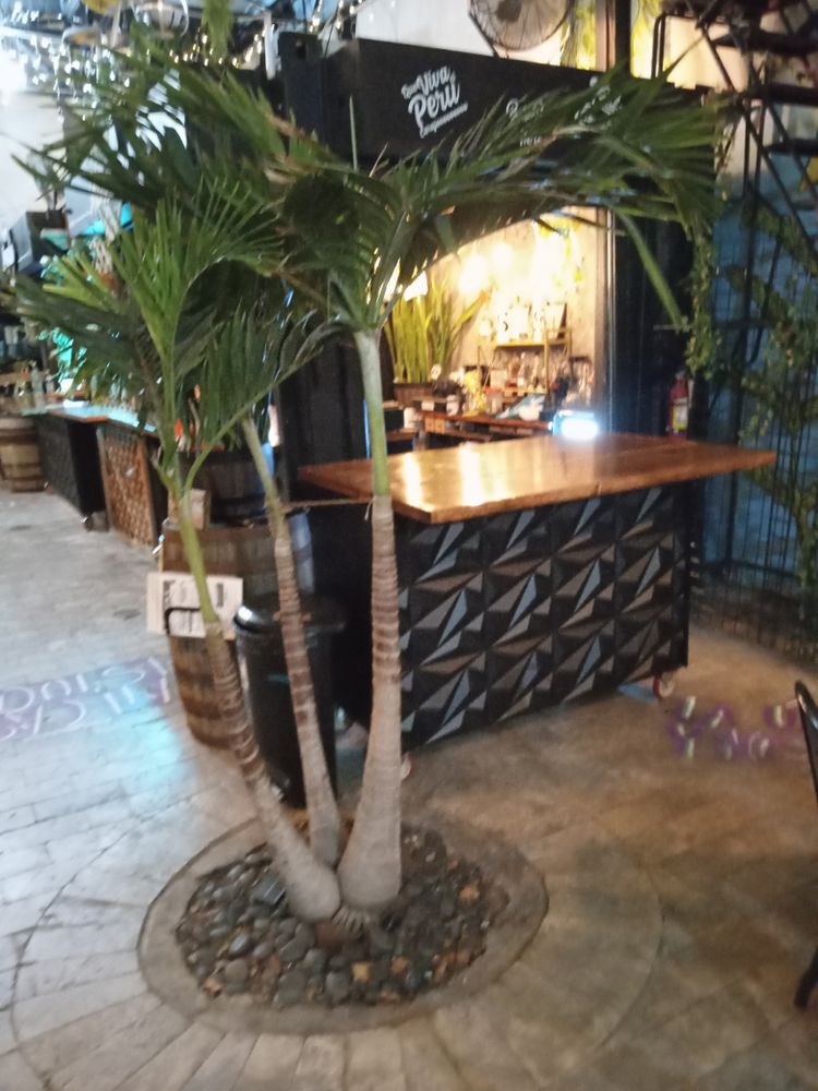 All Photos for WOOD BAR  DESIGN in Fort Lauderdale, FL