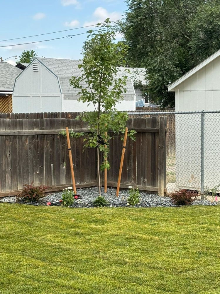 All Photos for Precision Landscape in Casper, WY