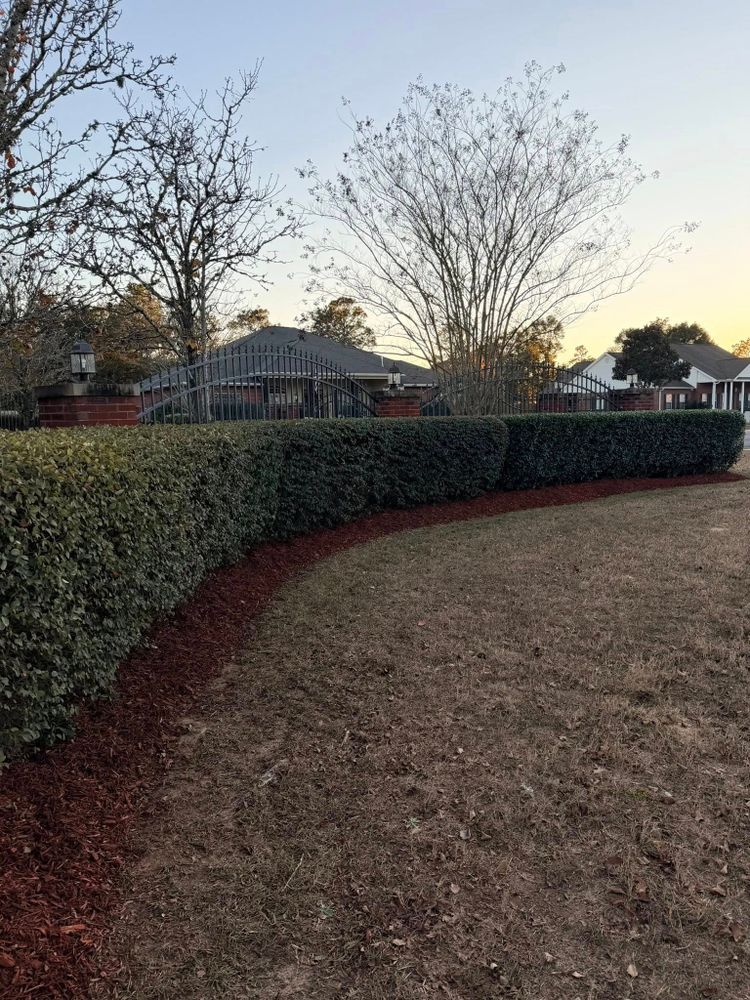All Photos for Old Florida Lawncare in Baker, FL