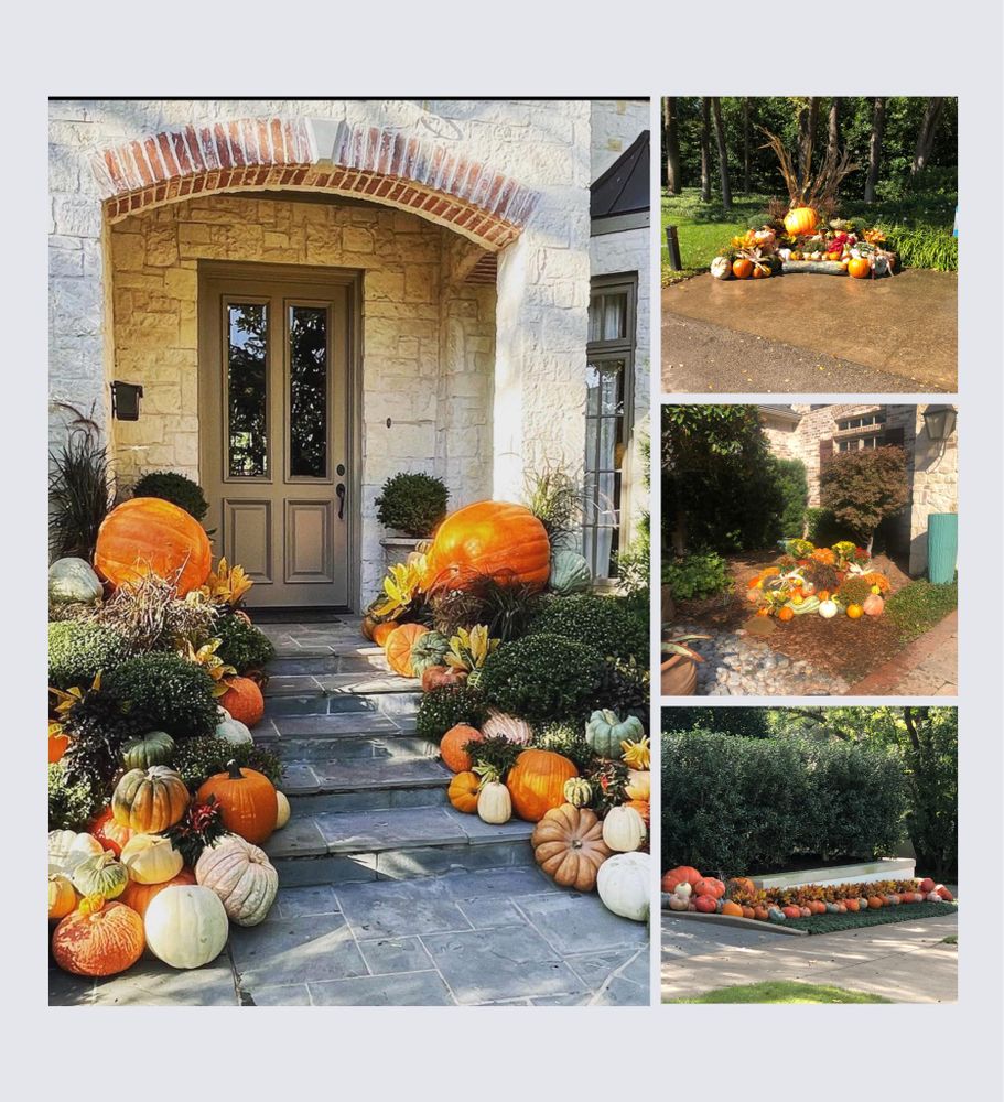 Pumpkin Displays for Rj’s Enchanted Gardens and Fencing LLC in Irving, TX