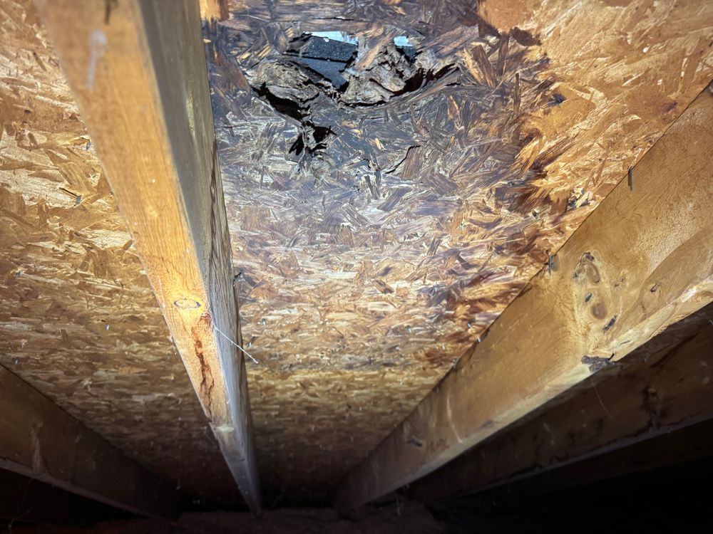 All Photos for FNS Exterior Consulting LLC, Powered By Live OAK in Cumming, GA