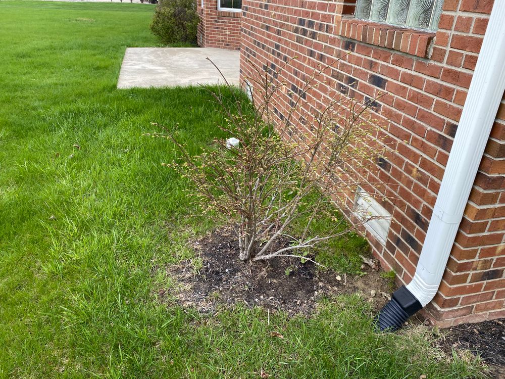 All Photos for Bearforce Lawn Care LLC in Greenfield, IN