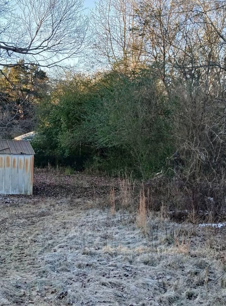 All Photos for Whiskey Ridge Mulching & Land Services in South Boston, VA