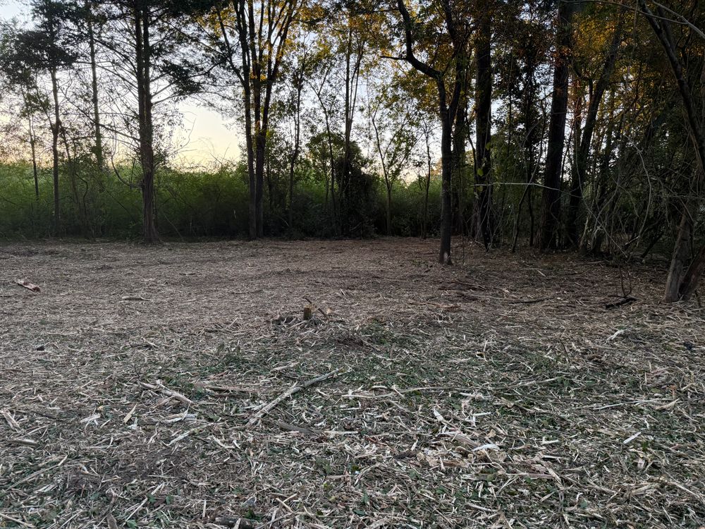 All Photos for T N L - Tree and Land Service in Reynolds, GA