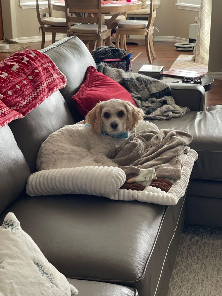 All Photos for Mr. Pipe Dreams LLC in Colorado Springs, CO