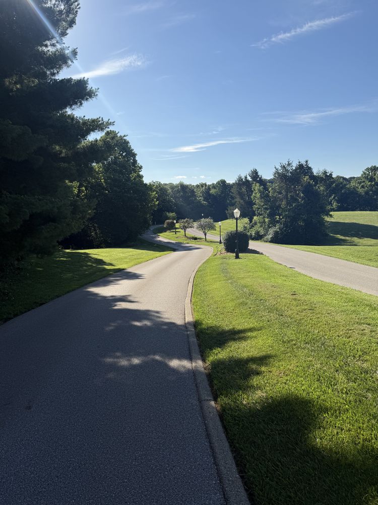 All Photos for Lightning Tree Service in Corydon, IN