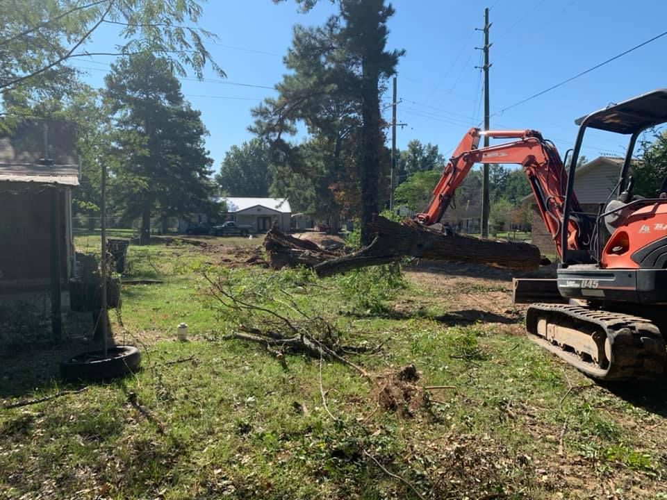 Tree Removal for Ray's Stump Grinding in Texarkana,,  TX