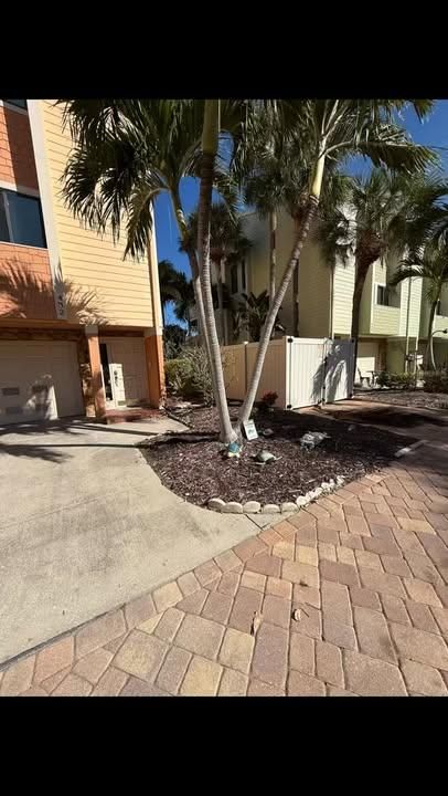 Fall Clean Up for AGT Landscape & Design LLC. in Saint Petersburg, FL