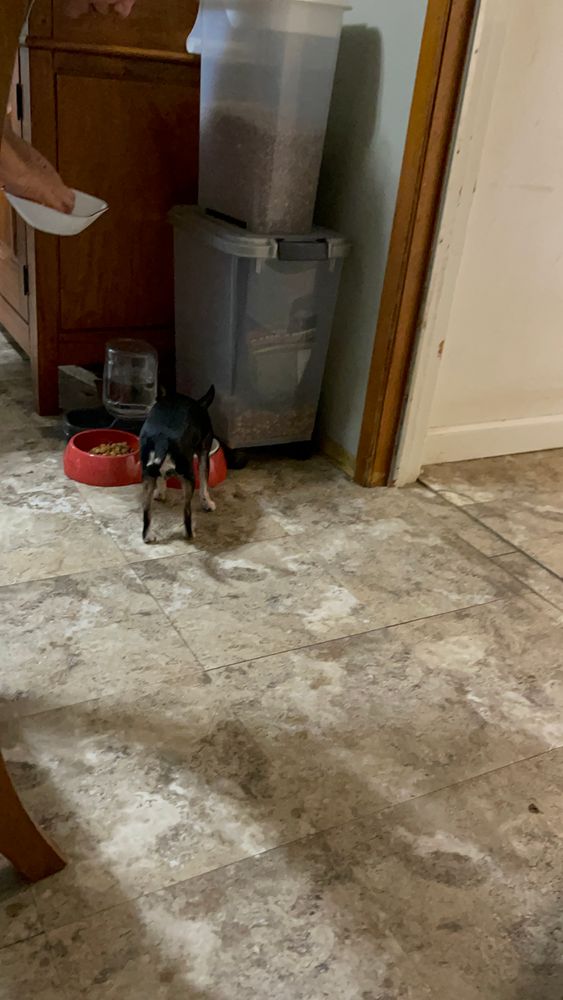 All Photos for Tony's Remodeling & Painting in Renton, WA