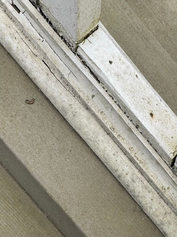 All Photos for Tony's Remodeling & Painting in Renton, WA