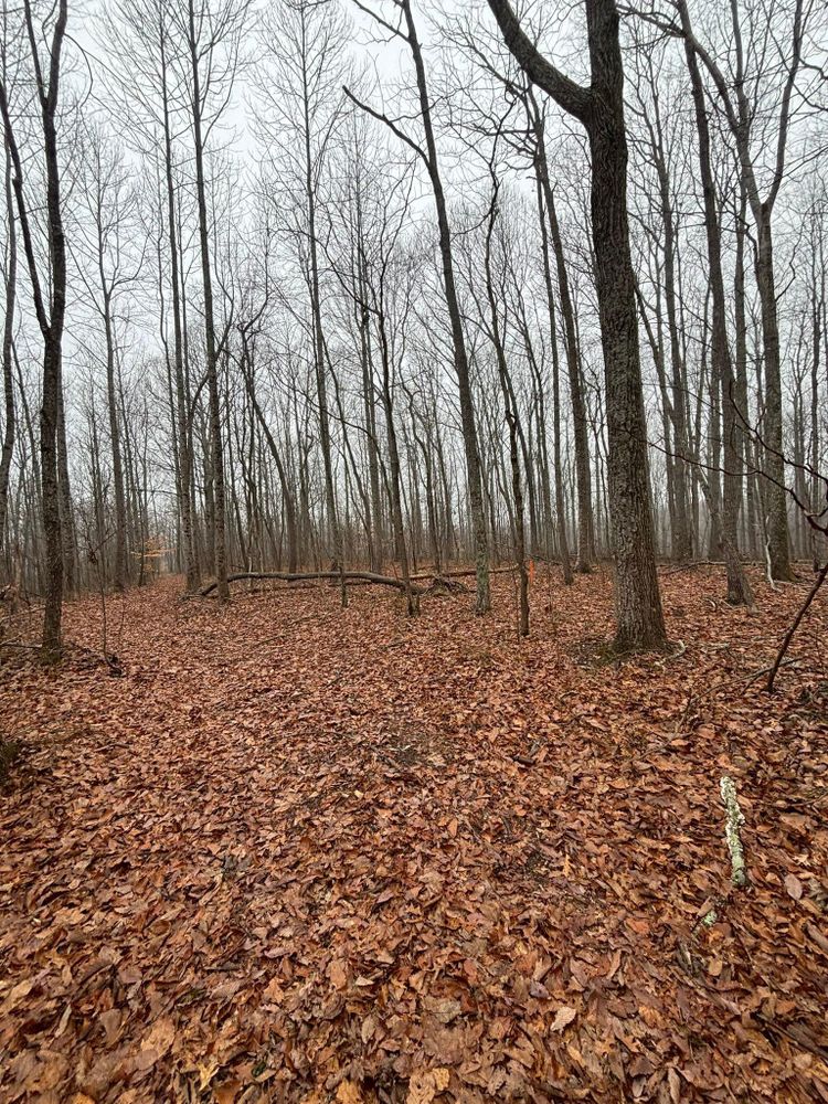 All Photos for TD Dirtworks in Tracy City, TN