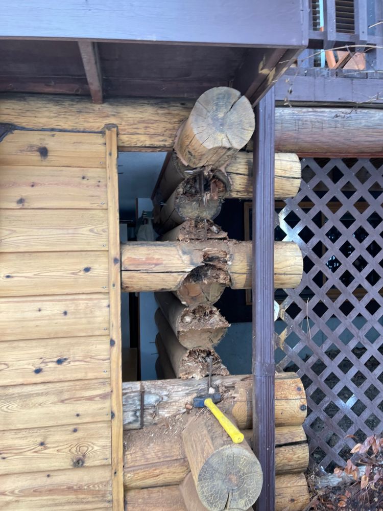 All Photos for Wild West Log home specialists in Corvallis, MT