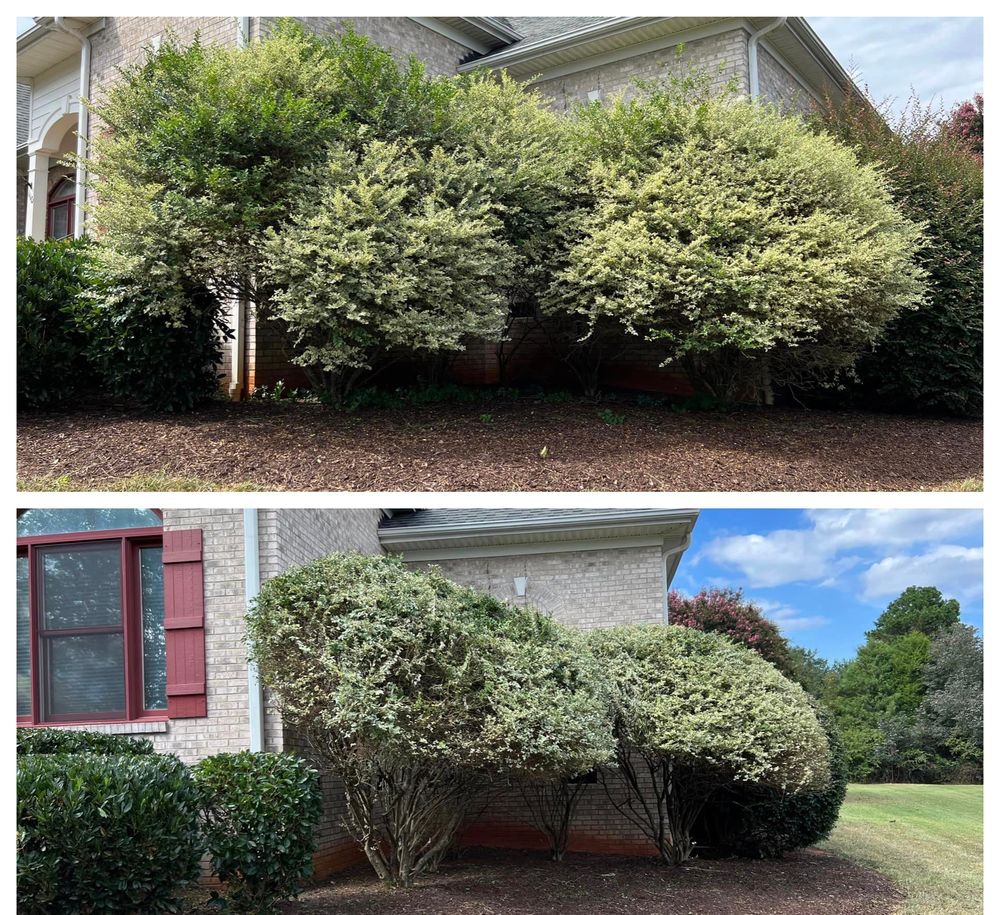 Landscaping for Elite Landscaping LLC in Anderson, SC