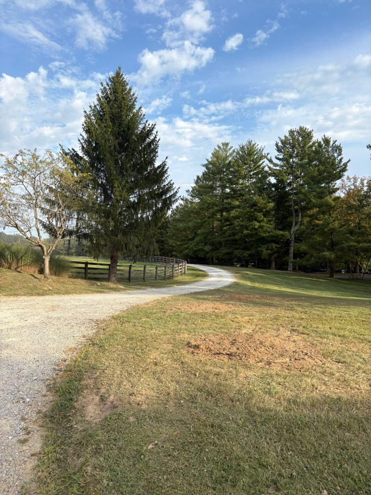 All Photos for Dig-It Tree Company in , 