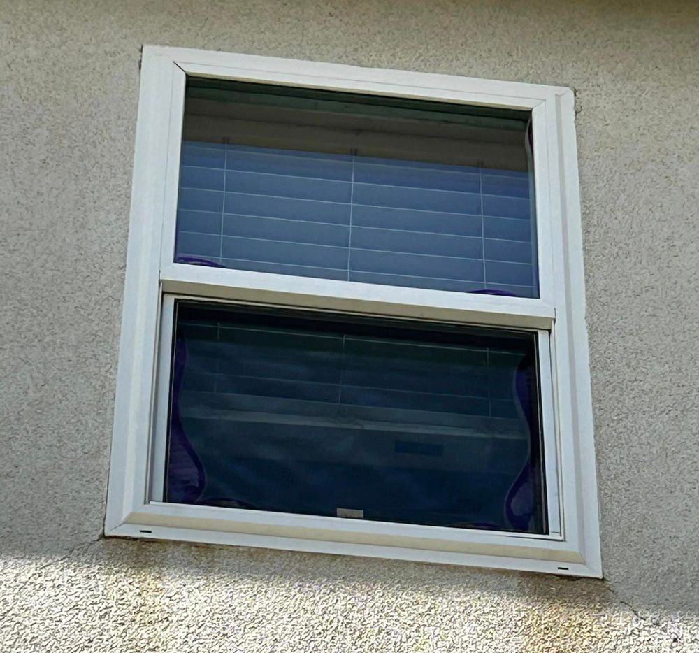 Our Work for Amazing View Services in San Diego, CA