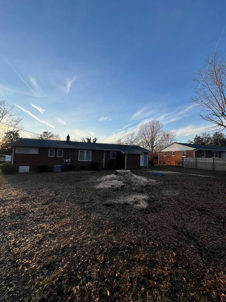 All Photos for Brooks Tree Service in Casar, NC