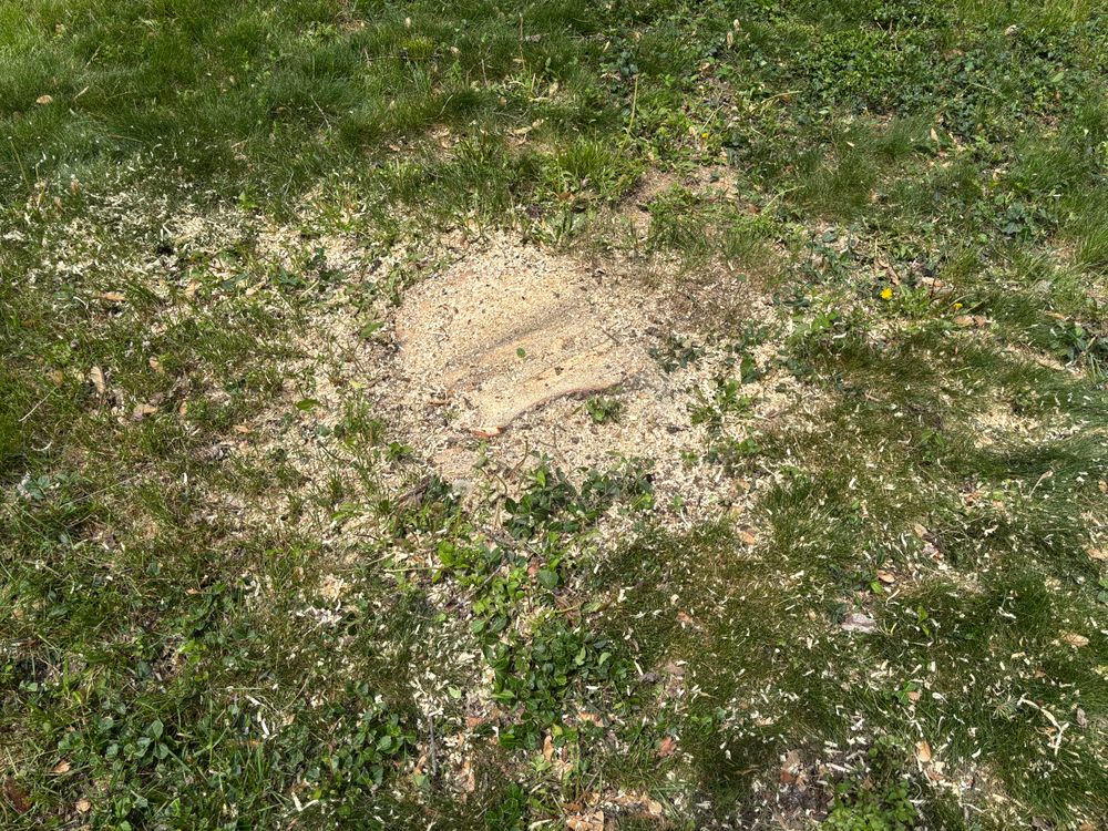 All Photos for Conrad's Stump Removal in Columbus, IN