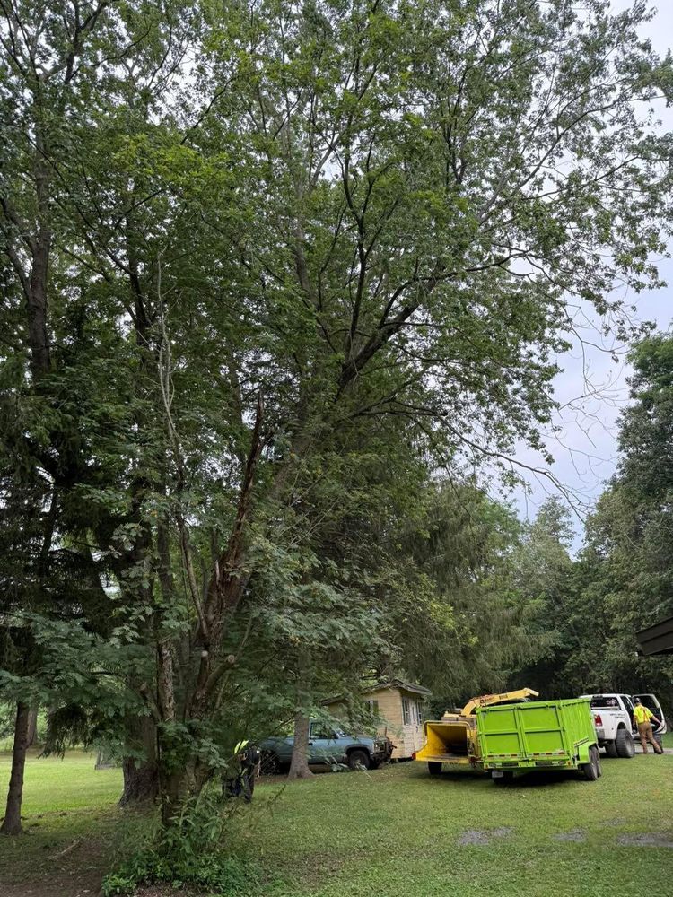 All Photos for Sterlings Tree Removal in Cobleskill, New York