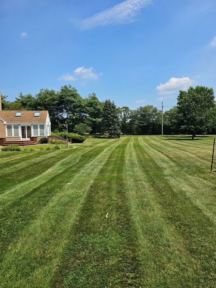 All Photos for DBs Lawn Care in Westampton Township, New Jersey