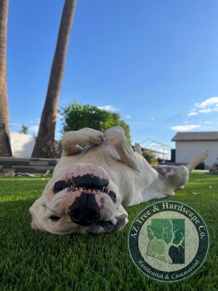 Pet friendly  for AZ Tree & Hardscape Co in Surprise, AZ