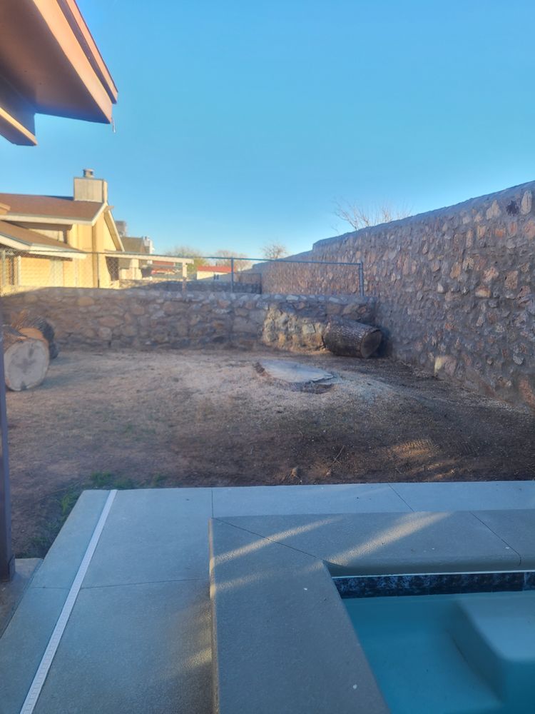 Residential Tree & Shrub Removal for ADM Landscaping & Irrigation LLC in El Paso,  TX