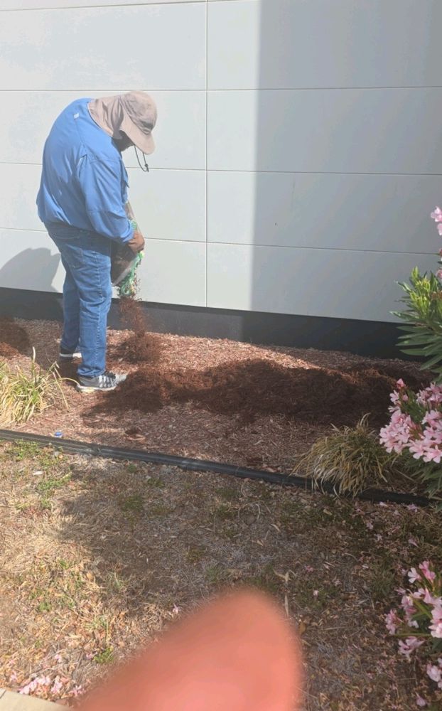 All Photos for Pro Lawn Care RGV in McAllen, TX