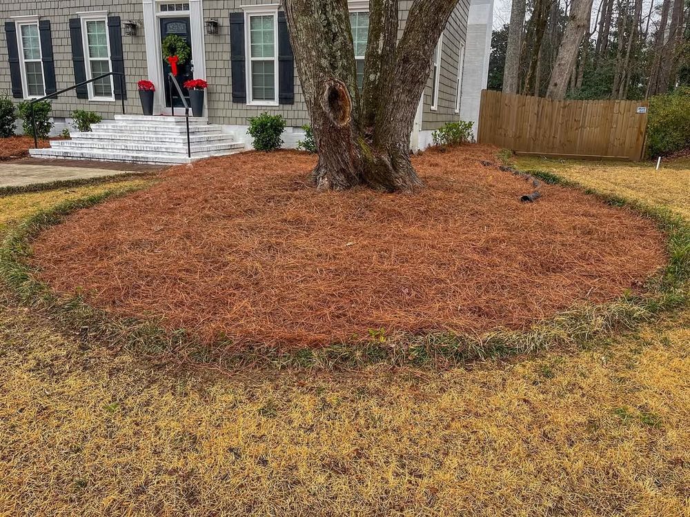 Our Work for Drake Lawn Care in Atlanta, GA