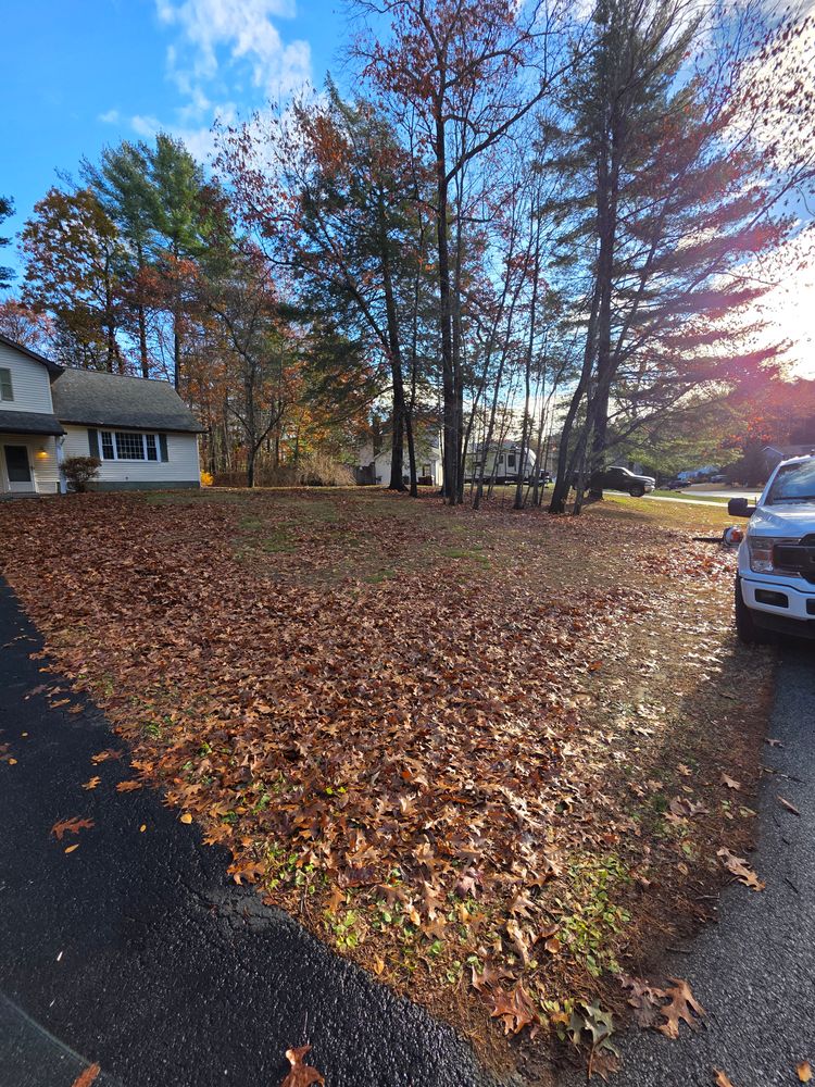All Photos for Sweet Scapes in Ballston Spa, NY