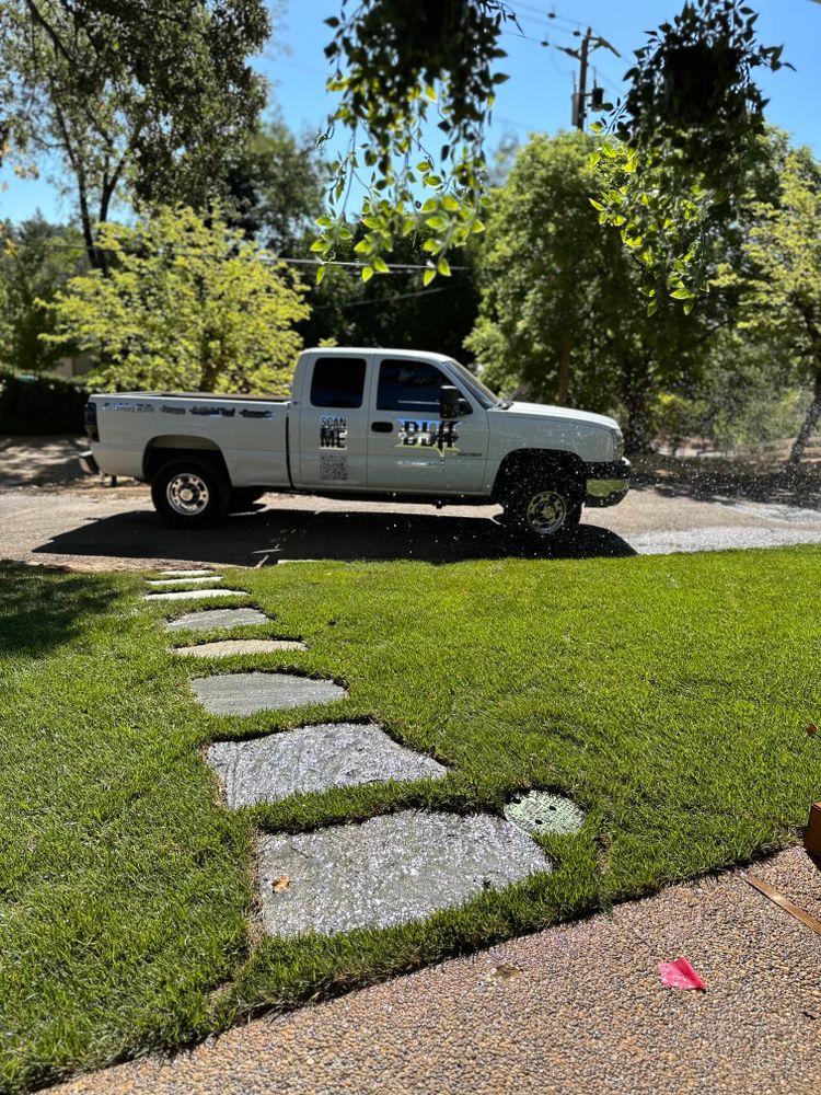 All Photos for Diamond Landscape & Hardscape in Diamond Springs, CA