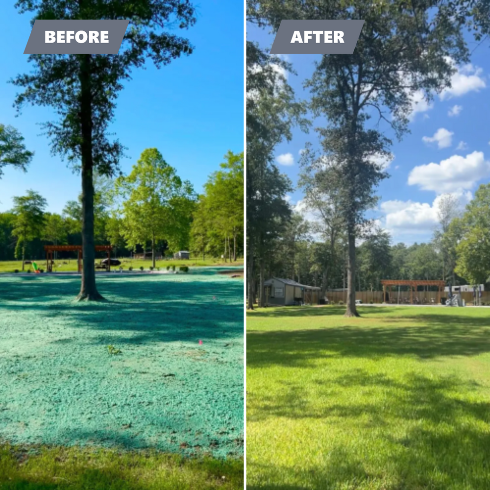 Our Hydroseeding service offers an efficient and cost-effective way to achieve a lush, green lawn by applying seed, mulch, and nutrients in one application for optimal growth and uniform coverage. for Deeply Rooted Lawn Installations - Sod Installation & Hydroseeding Services in Winder, GA