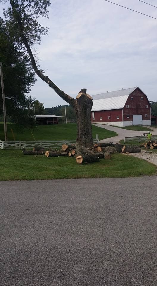 Tree Removal for Lightning Tree Service in Corydon, IN