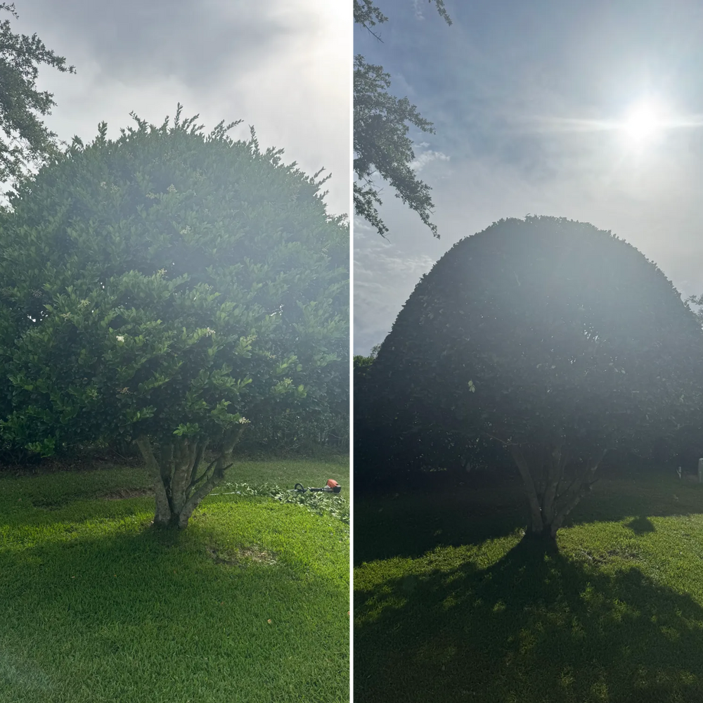 All Photos for Village Lawn Services LLC in Lake Panasoffkee, FL