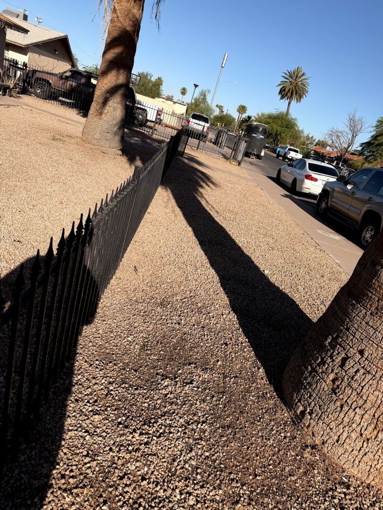 All Photos for Family Landscaping in Phoenix, AZ
