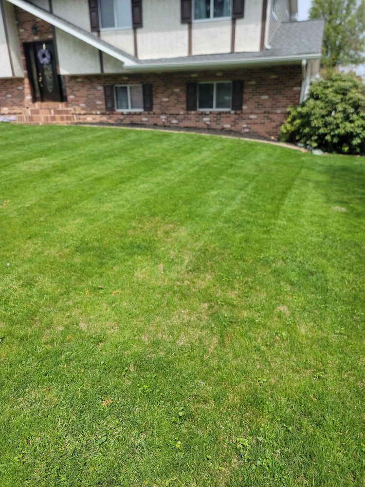 Our fertilization services provide your lawn with essential nutrients, promoting healthy growth and vibrant greenery. Our expert team ensures a lush, weed-free environment for your home’s outdoor space all year round. for Trippin A-Lawn in Bethlehem, PA