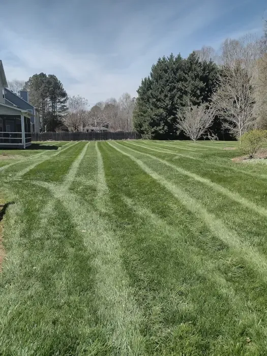 All Photos for Olmedo Home Services in Davie County, NC