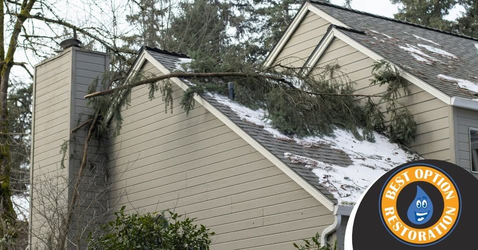 All Photos for Best Option Restoration of Denton in Denton, TX