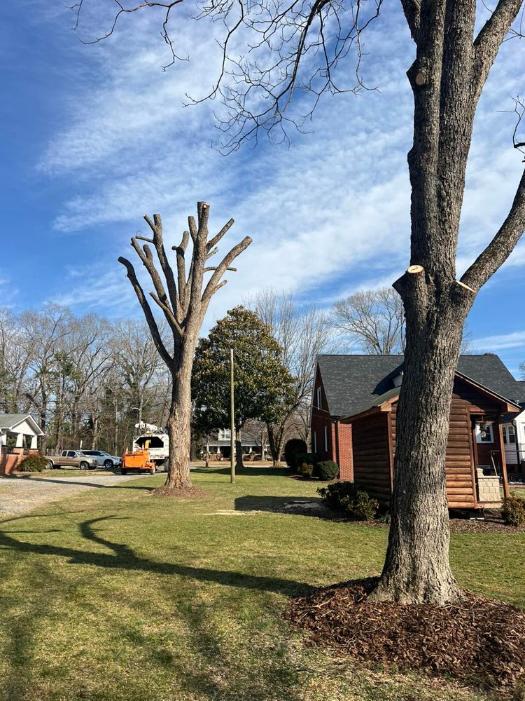All Photos for Brooks Tree Service in Casar, NC