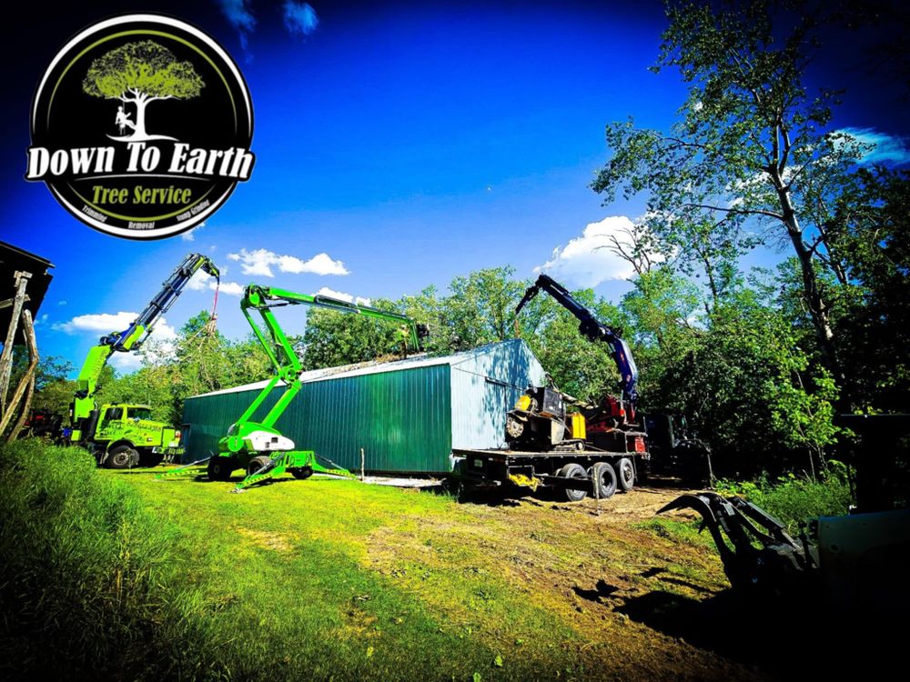 All Photos for Down To Earth Tree Service in Red Wing, MN