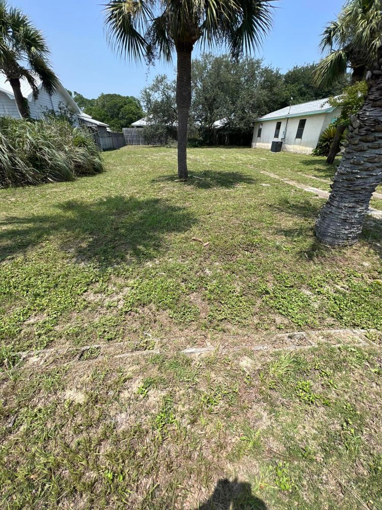 All Photos for Lawn Dog Mowing and Lawn Services in Panama City, FL