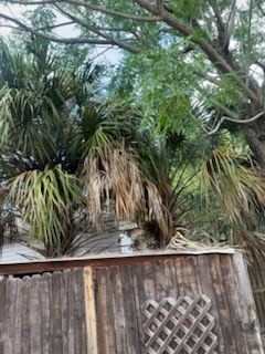 All Photos for Perfect MOs Landscaping in Hudson, FL