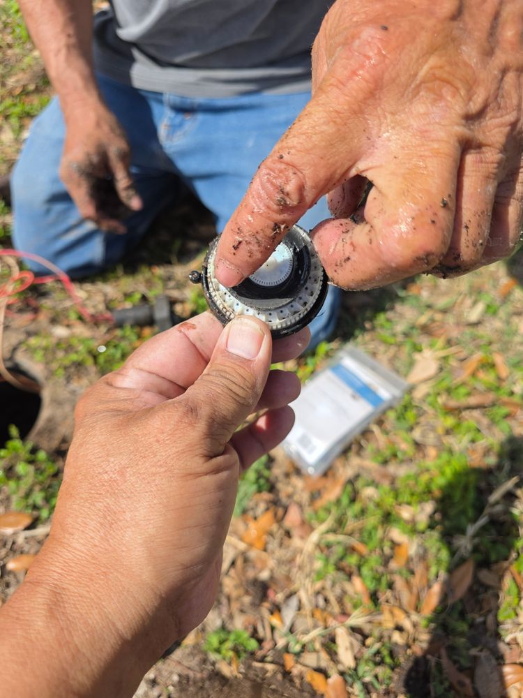 All Photos for Pro Lawn Care RGV in McAllen, TX