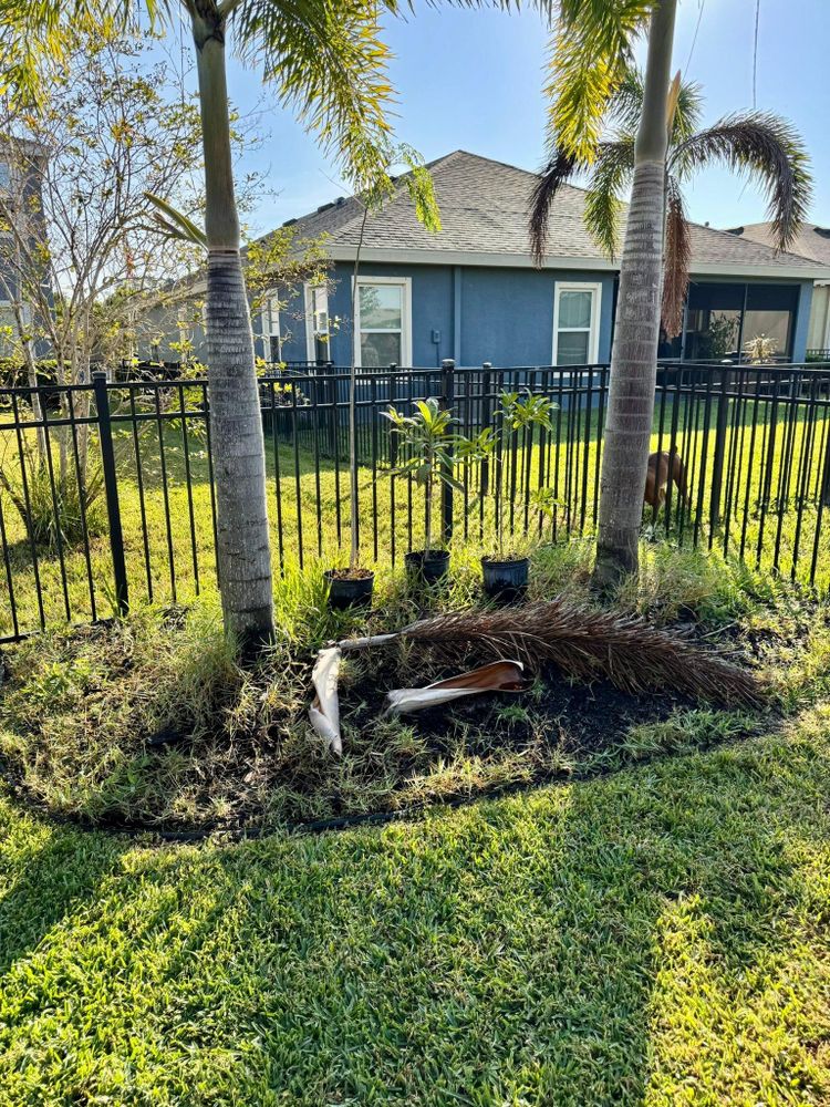 All Photos for Shoreside Property Services in Apollo Beach, FL