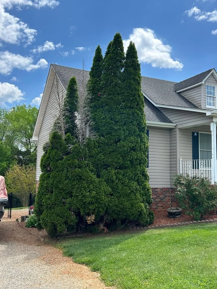 All Photos for Gatrell Landscape & Tree Removal in Bluff City, TN